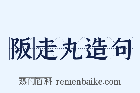 阪走丸造句是什么意思的图片